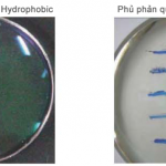 Lớp phủ Hydrophobic – Phủ nano